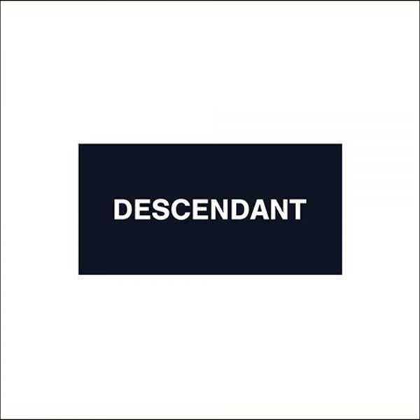 DESCENDANT /新作アイテム入荷 “DORSAL SS”and more