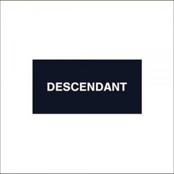 DESCENDANT / 新作アイテム入荷 “CACHALOT SS (231ATDS-STM13S)”